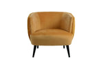 Lani Accent Chair Mustard front view picture