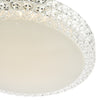 Liana Flush Clear Faceted Plastic LED close view picture of the ceiling mount light