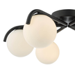 Matte Black Elegance - Orlena 6 Light Flush