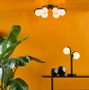Orlena 6 Light Flush - Low-Ceiling Illumination