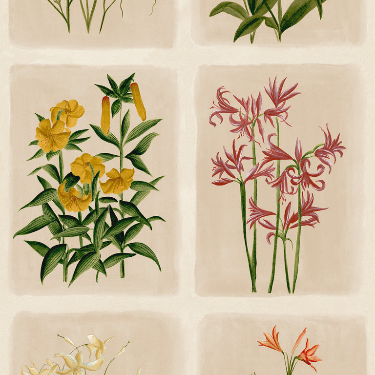 Laura Ashley Pershore Postcards Wallpaper - Modern Wall Covering