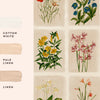 Laura Ashley Pershore Postcards Wallpaper Multi / Linen perfect goes with those paint colors
