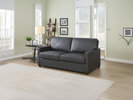 Raphael Sofa Bed life style front view photo in the living room