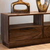 Ray Tv Unit Dark Teak close view picture of the TV unit design