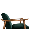 Bring the Outdoors Inside with this Accent Chair.