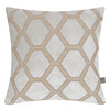 Scatterbox Orva Cushion Silver 58x58 cm available in a large size