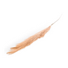 Decorative brown reed stem for home decor arrangements.
