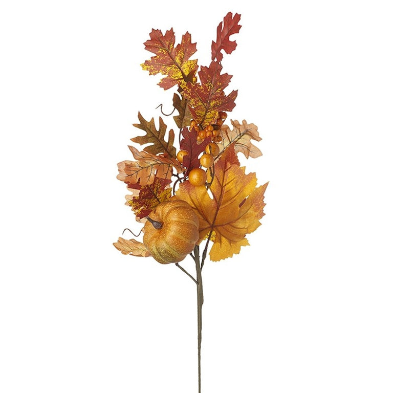 Velvet Pumpkin Autumnal Leaf Branch