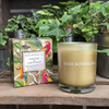 Ideal for creating a refreshing atmosphere.