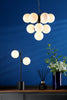 Vine 10 Light Pendant Satin Black/Opal Glass perfect for any room