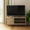 Willow TV Unit Timber Wash life style picture in the living room