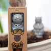 Meditating kitty plant watering tool