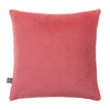Scatterbox cushion featuring premium velvet fabric in raspberry.