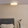 Udell Light Flush - Illuminate Your Space with Brilliance