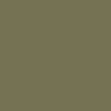 Graham & Brown Battle Paint close view picture of the paint color