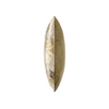 "Scatterbox Cushion Caesium 43x43cm Green brings elegance and comfort to your home decor."

