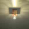 Contemporary flush ceiling light with wood finish - Sollux Lighting Ceiling Lamp ARIZ
