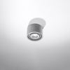 Modern flush ceiling light Sollux Lighting Ceiling Lamp BASIC 1 Concrete