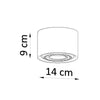 Cylindrical flush ceiling lamp Sollux Lighting Ceiling Lamp BASIC 1 Concrete