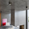 Modern home accessories that enhance any room Ceiling lamp BLAKE black