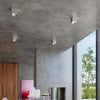 Stylish flush ceiling lights with led lights for home lighting solutions
