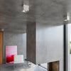 Ceiling lamp with modern lighting design featuring flush mount light fixtures