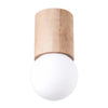 LED lights for home, Sollux Lighting Ceiling Lamp BOOMO 12
