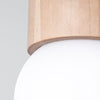 LED flush ceiling lights Sollux Lighting Ceiling Lamp BOOMO 8
