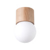 Contemporary flush mount light fixtures Sollux Lighting Ceiling Lamp BOOMO 8
