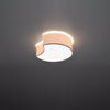Stylish flush ceiling lights Sollux Lighting CIRCLE 1