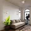 Rustic flush mount lighting Sollux Lighting Ceiling Lamp EMILIO