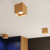 Contemporary HATI Ceiling Lamp in Gold Finish
