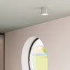 Stylish flush mount light Sollux Lighting Ceiling lamp INEZ grey