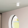 Modern flush mount light Sollux Lighting Ceiling Lamp INEZ White