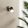 Ceiling lamp LEMMI 2 black  for large or small spaces