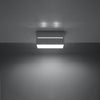Modern design flush mount light Sollux Lighting Ceiling lamp LOBO 2 grey