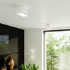 Contemporary home accessories Sollux Lighting Ceiling lamp LOBO 2 white