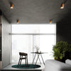 Minimalist Design with Sollux Lighting Ceiling Lamp MIKA
