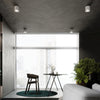 Enhance Your Home Decor with MIKA White Ceiling Light
