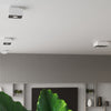 Versatile Sollux Lighting Ceiling Lamp MONO 1 White fitting any interior design