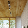 Enhance your office with Sollux Lighting Ceiling lamp OCULARE 4L black