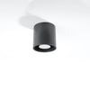 Anthracite ceiling lamp Sollux Lighting Ceiling lamp ORBIS 1 anthracite