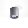 Stylish cylindrical shade Sollux Lighting Ceiling Lamp ORBIS 1