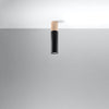 Elegant flush mount ceiling light Sollux PABLO Black for loft spaces
