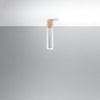 Pendant light Sollux Lighting Ceiling lamp PABLO white for modern interiors