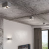 Aluminum flush ceiling lamp by Sollux Lighting Ceiling lamp QUAD grey