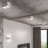 Contemporary home accessories with Sollux Lighting Ceiling Lamp QUAD White