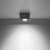 Contemporary ceiling lights Sollux Lighting QUATRO 1 Concrete
