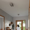 Industrial-style flush mount light fixtures Sollux Lighting QUATRO 2 concrete