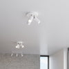 Unique Sollux Lighting Ceiling lamp RING 3P white with individual light settings